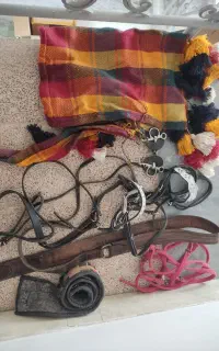وسایل کامل اسب