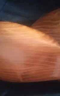تار خجسته