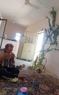 ذرت