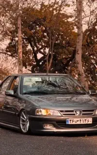 تاکسی (خودرو دربست به تمام نقاط کشور)
