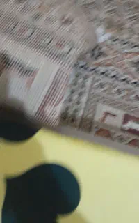 کلیم