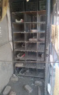 قفس کبوتر