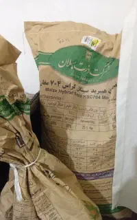 ۷۰۴ تاریخ ۴۰۳