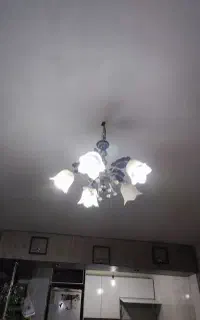 لوستر لاله 5شعله