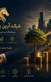 سرمایه‌گذاری ، جذب سرمایه و تامین مالی