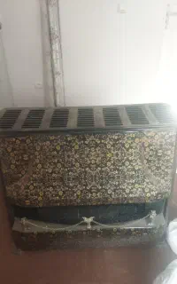 بخاری سالم