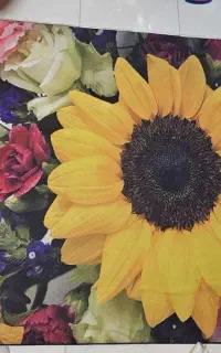 فرش پینترسی