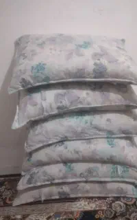 بالشت پر