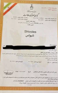 فروش برند علامت تجاری