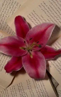 تدریس خصوصی ریاضی غیرحضوری اول تا نهم