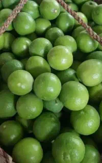 آبلیمو گیری دشت بزرگ