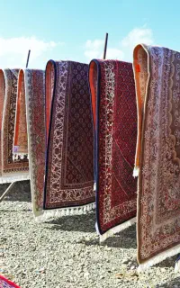 قالی شویی نظام آبادی تحویل یک روزه نظام شهر