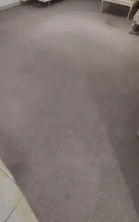 ۴۰ متر موکت ضریف مصور