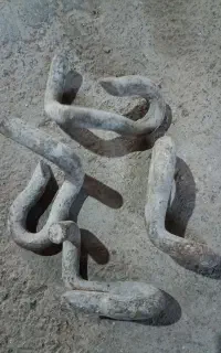 پین قورباغه ای
