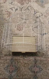 قفس پرنده
