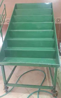 منبر میوه
