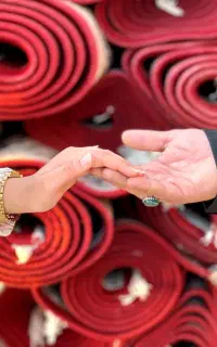 عکاسی حرم مطهر  ، محضر