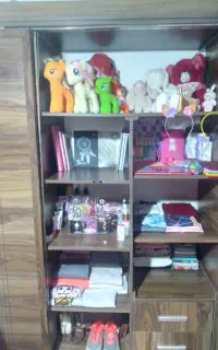 کمد ریلی جا دار