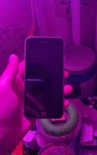 گوشی ایفون iphone SE 2020 256G