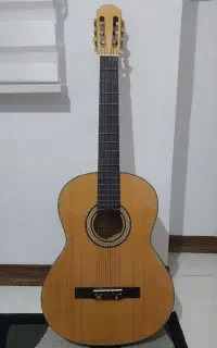 گیتار E160