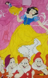 روتختی تک نفره