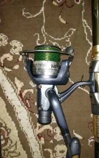 دو عدد لنسر الباستار