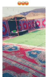 داربست مجالس