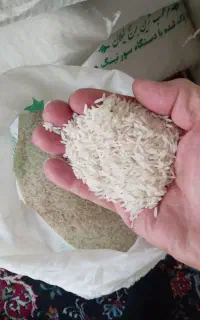 با سلام ۲۰۰کیلو برنج هاشمی درجه یک