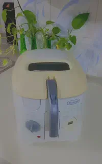 سرخ کن با روغن