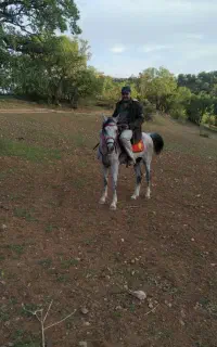 فروش سیلمی کره توکل میرزایی