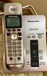 پاناسونیک
