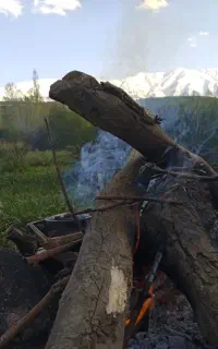 کود حیوانی رایگان