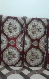 پشتی سالم