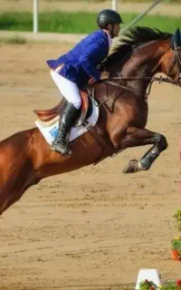 آموزش سوارکاری
