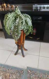 مقداری لوازم .گل بامبو زمینی ودیوار ومجسمه
