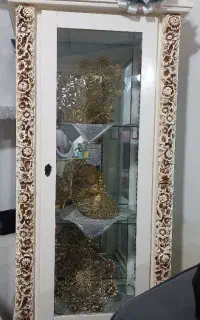 ویترین