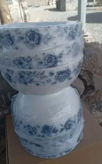 کاسه دینو