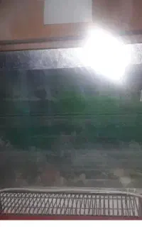 آکواریوم مارک دلسا