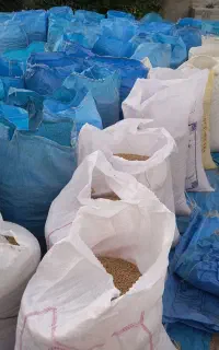 جو محلی