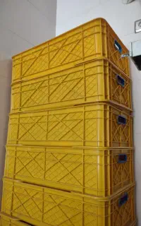 فروش سبد پلاستیکی مرغ و لنیات