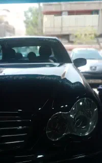 جلوبندی سازی تخصصی پرند