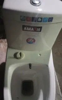 توالت فرنگی