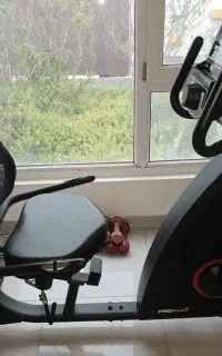 دوچرخه ثابت ورزشی مبله پرومکس مدل TL886