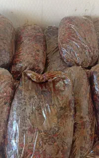 خرما درجه ۱خمیر خرما