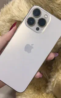 13 Pro