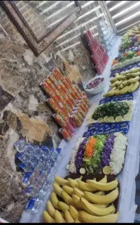 تور کربلا با کیفیت، نقد و اقساط