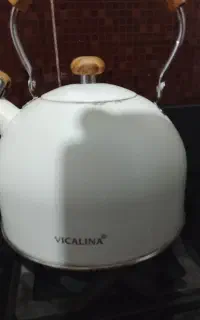 کتری سوت زن