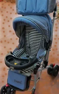 ست کالسکه وکیف دلیجان .آکبندصفرهست