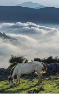 تور یک روزه فیلبند افر لحظه آخری