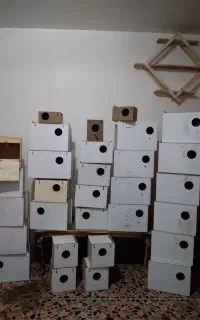 لانه پرنده